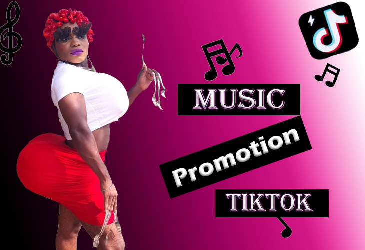 I’ll Promote Your Music With A Dramatic Performance To My 1.5M TikTok Followers.